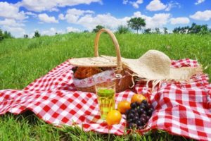 picnic_